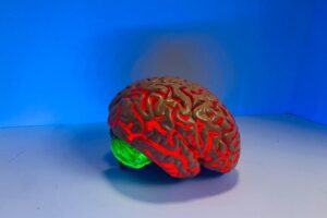What Causes Brain Diseases Like Alzheimer’s?